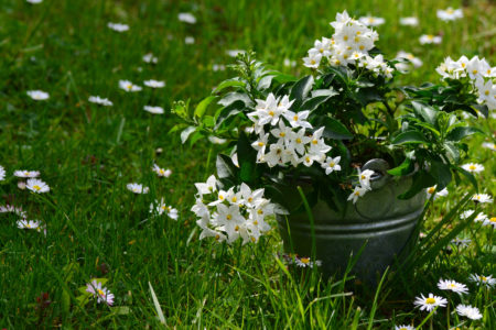 The Softer Side of Life